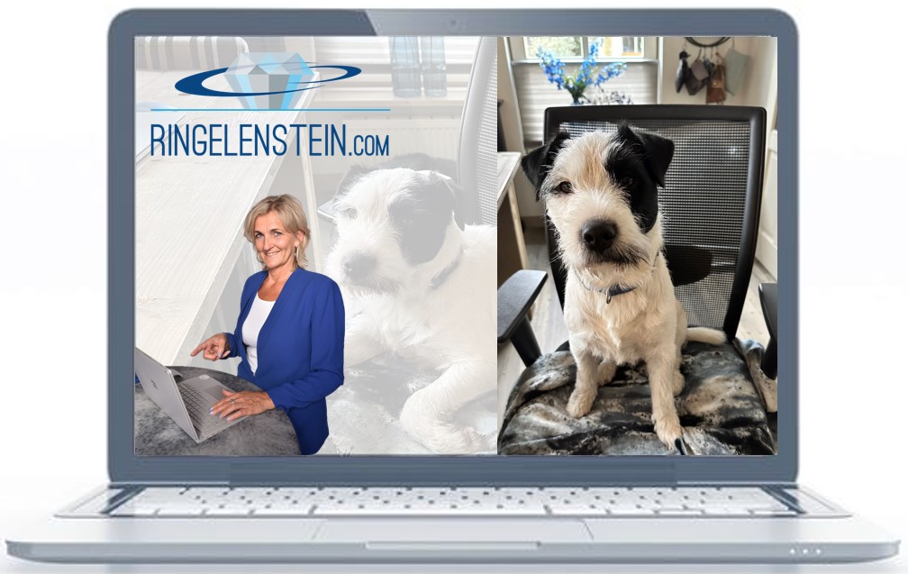 2023-0202 Kantoorhond